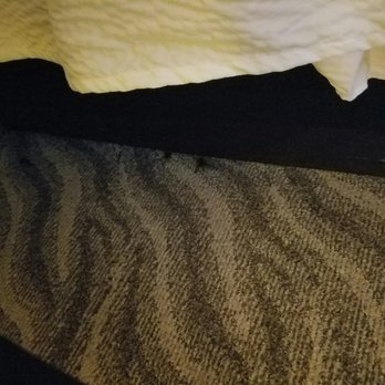 La Quinta by Wyndham Glen Rose - Dead crickets all over the room - Hotels Near Me - Glen Rose, Texas La Quinta by Wyndham Glen Rose - Dead crickets all over the room - Hotels Near Me - Glen Rose, Texas