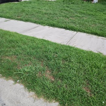 Ivan & Sons - Lawn Services Near Me Ivan & Sons - Lawn Services Near Me