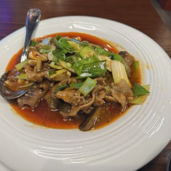 Hunan Szechuan Cuisine - Szechuan Near Me - Mountain View, California Hunan Szechuan Cuisine - Szechuan Near Me - Mountain View, California