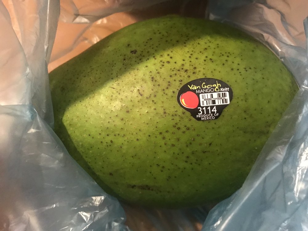 VISION IMPORT GROUP Updated April 2024 511 Goffle Rd, Wyckoff, New