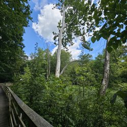 Creekside