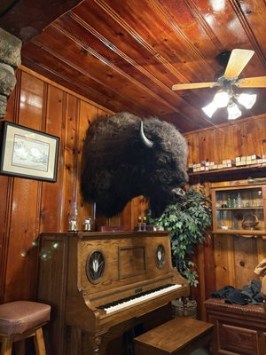 Rainbow Lodge by null