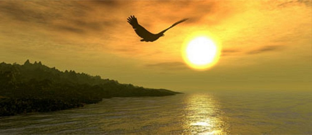 Happy Living Services - grief counselor in Fairfield, CT