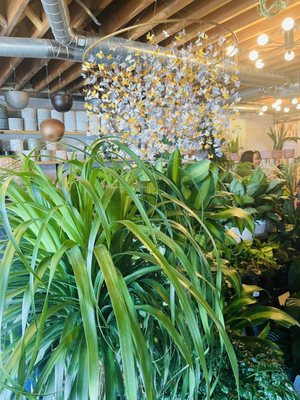 The Living Room by null