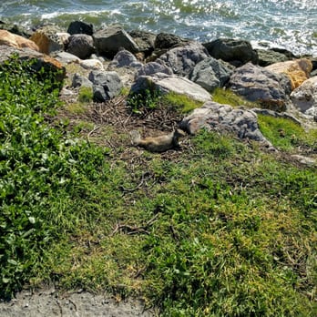 Cesar Chavez Park - Parks Near Me - Berkeley, California Cesar Chavez Park - Parks Near Me - Berkeley, California
