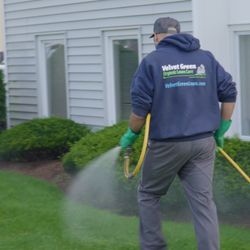 Velvet Green Organic Lawn Care