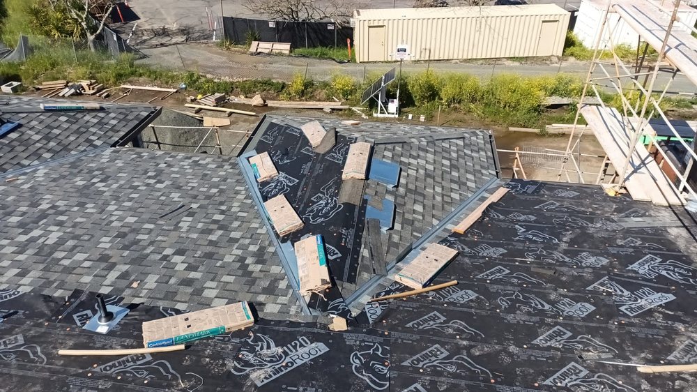 Slide of Emilio’s Painted