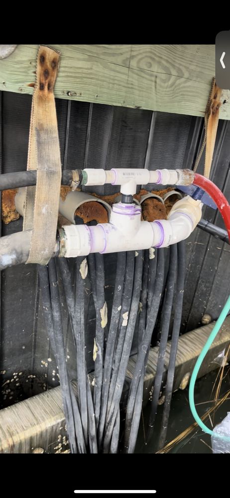 Slide of Cain Velazquez’s Sprinkler Services