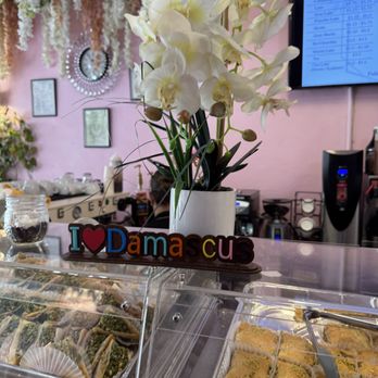 Damask Rose Coffee - Coffee & Tea Near Me - Oakland, California