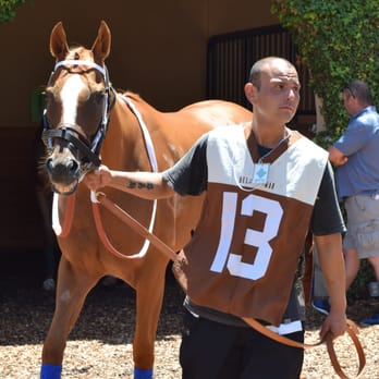 Del Mar Racetrack - Olympic Blue, about to get saddled up for Race #1 on Opening Day 2015, and you'd smile too if you knew you were going to win the race... - Race Tracks Near Me - Del Mar, California Del Mar Racetrack - Olympic Blue, about to get saddled up for Race #1 on Opening Day 2015, and you'd smile too if you knew you were going to win the race... - Race Tracks Near Me - Del Mar, California