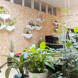 Kindred Studios Yarraville - Our shared co-working office. Image: Jorge De Araujo