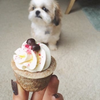 Three Dog Bakery - Pupcake! - Pet Stores Near Me - Plano, Texas Three Dog Bakery - Pupcake! - Pet Stores Near Me - Plano, Texas