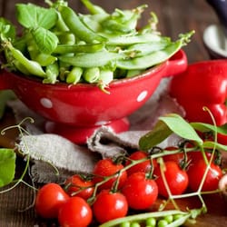Whole Health Nutrition