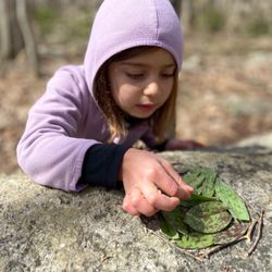 Westbrook Nature School
