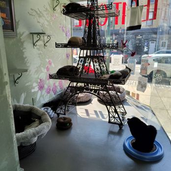 LE CAT CAFE - Updated February 2026 - 154 Photos & 60 Reviews - 2713 W