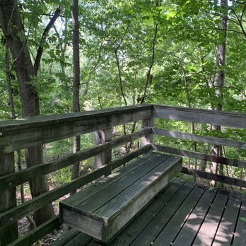 Forte Memorial Park - Benches to sit along path and connect with nature - Parks Near Me - Newton, Massachusetts Forte Memorial Park - Benches to sit along path and connect with nature - Parks Near Me - Newton, Massachusetts