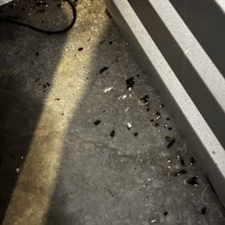 US Storage Centers - Rat feces