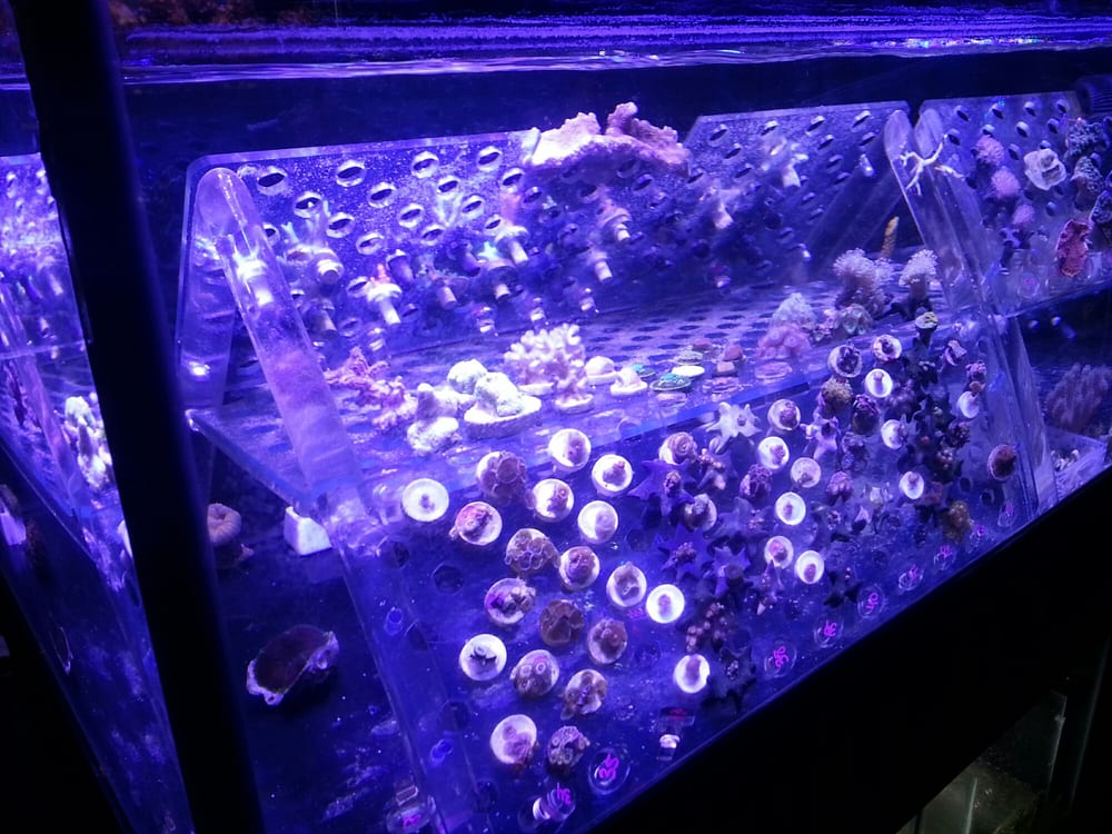 o Jupiter Florida Real Estate For Sale