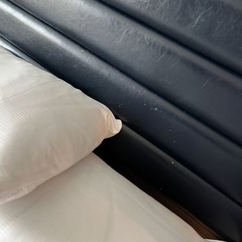 Hilton Newark Airport - scratched leather backboard with tons of stains - Hotels Near Me - Elizabeth, New Jersey Hilton Newark Airport - scratched leather backboard with tons of stains - Hotels Near Me - Elizabeth, New Jersey