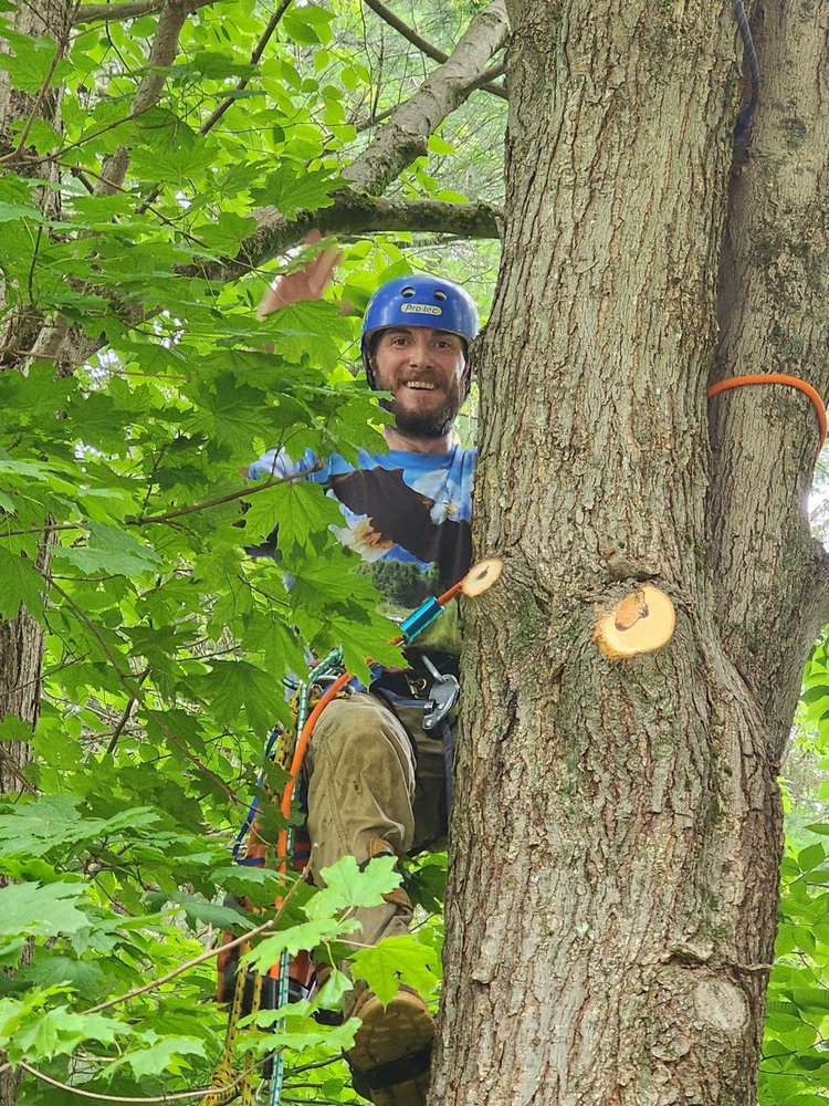 Arbor Craft Tree Care - tree service in Rutland, MA