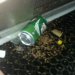 Liberty State Park Light Rail Station - Yep... Canada dry, lemon heads and blunt guts - that's the epitome of the LTR.