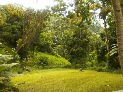 Ceiba Country Inn Bed & Breakfast by null
