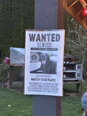 Cockrell Hard Cider by null