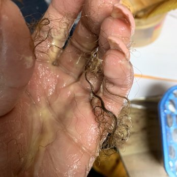 New BBS Beauty Salon - Rubbing my fingers through my hair with deep conditioner. - Hair Salons Near Me - Springfield Gardens, New York New BBS Beauty Salon - Rubbing my fingers through my hair with deep conditioner. - Hair Salons Near Me - Springfield Gardens, New York