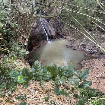 Kipu Ranch Adventures - Tours Near Me - Lihue, Hawaii Kipu Ranch Adventures - Tours Near Me - Lihue, Hawaii