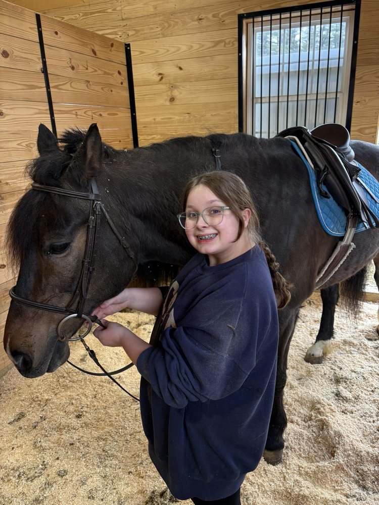 Serendipity Stables - equestrian in Milford, NH