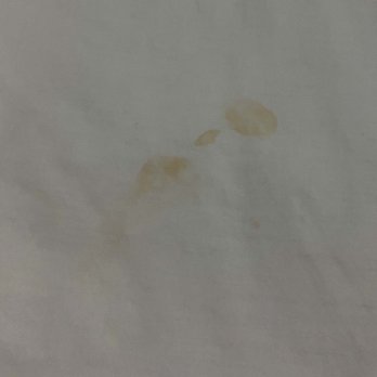Coast Burbank Hotel - We found this stain in the middle of the bed sheet before going to bed on our first night. - Hotels Near Me - Burbank, California