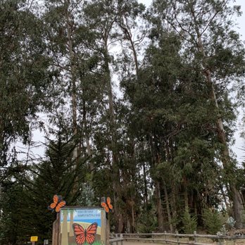 Monarch Butterfly Grove - Inside (12/3/21) - Parks Near Me