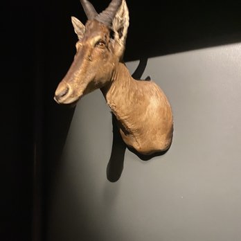 Manon Les Suites - you could see the tears in his eyes. Let's not decapitate animals and call it an "Art". - Hotels Near Me - København