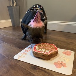 Remy's 1st birthday!!! Remy's 1st birthday!!!