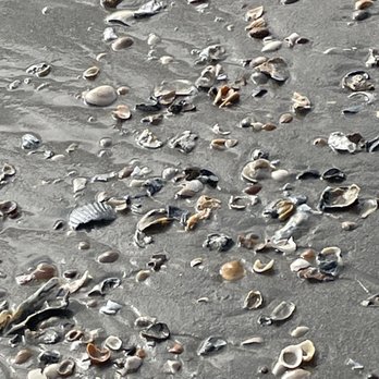Oak Island Lighthouse - Shells - Landmarks & Historical Buildings Near Me - Oak Island, North Carolina Oak Island Lighthouse - Shells - Landmarks & Historical Buildings Near Me - Oak Island, North Carolina