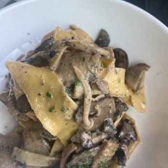 Terra - Pappardelle fungi $26 - Italian Near Me - Santa Clara, California Terra - Pappardelle fungi $26 - Italian Near Me - Santa Clara, California
