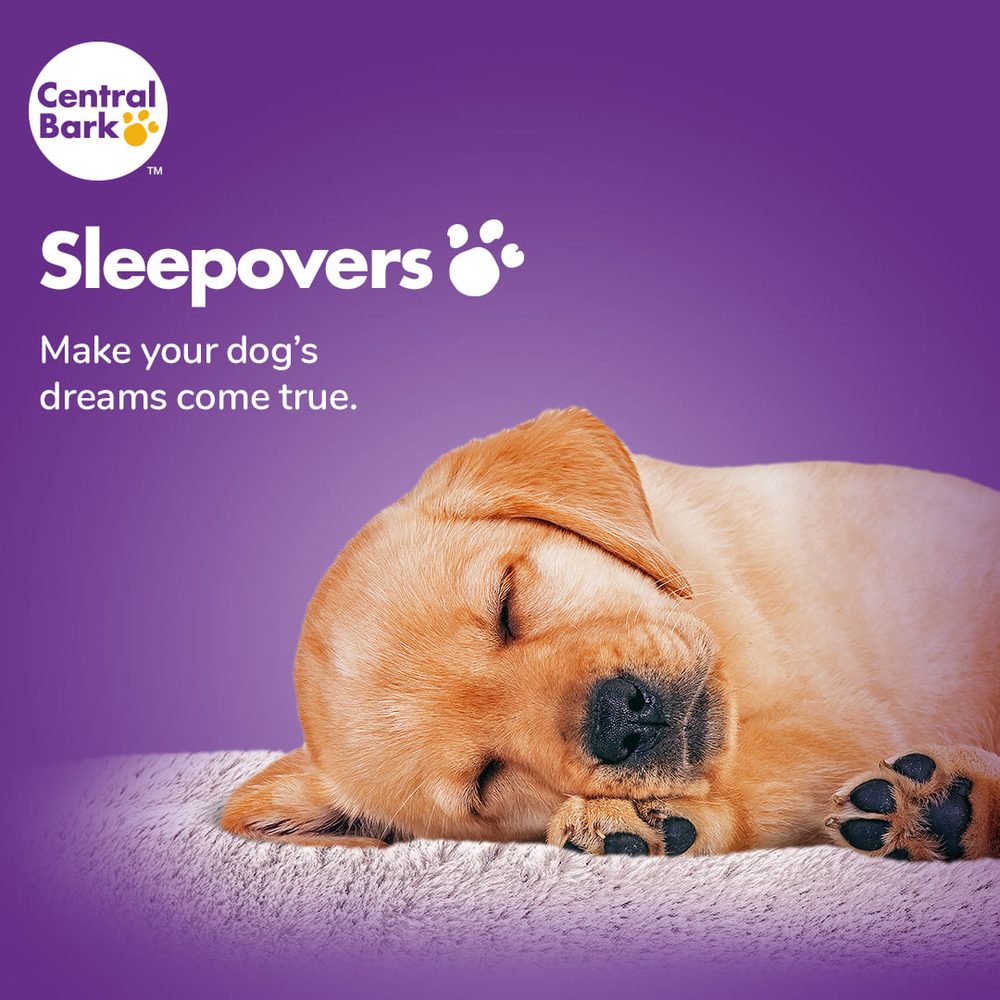 CENTRAL BARK CHARLOTTEMATTHEWS Updated August 2024 18 Photos