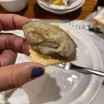 Oyster Bar Columbia - Look at how fat they are!! - Seafood Near Me - Columbia, South Carolina