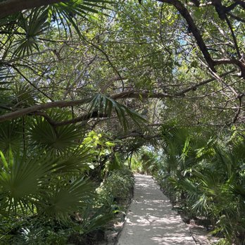 Nizuc Resort & Spa - The path to the adult pool - Resorts Near Me - Cancún, ROO