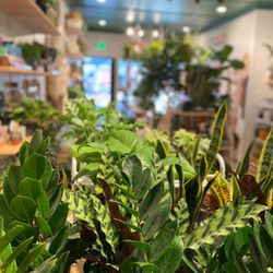 GreenSpell Plant Shop