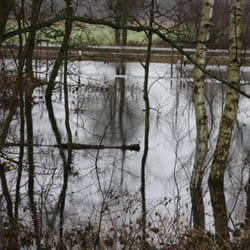 Elbe-Hochwasser 2011 - "Auwälder" bis an den Parkplatz an der B209