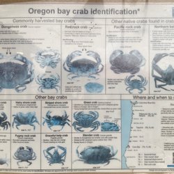 Port of Garibaldi - Oregon crabs
