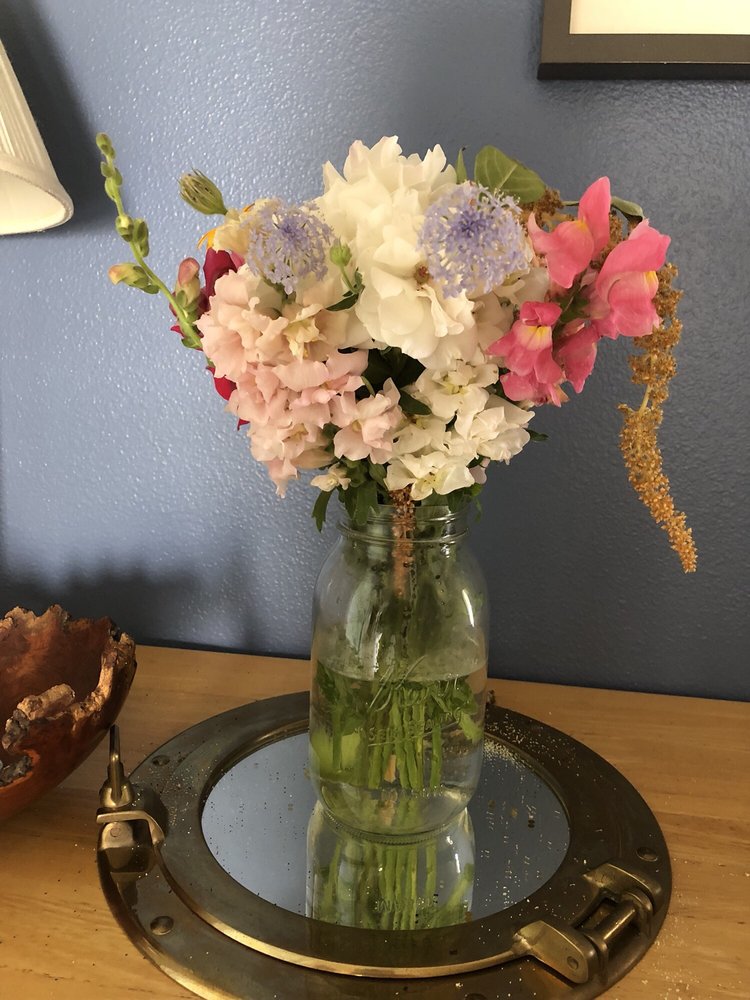 Lil' Starts - beekeeping in Portland, OR