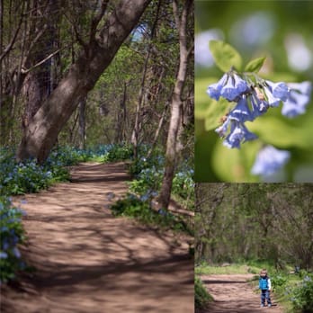 Riverbend Park - Parks Near Me - Great Falls, Virginia Riverbend Park - Parks Near Me - Great Falls, Virginia