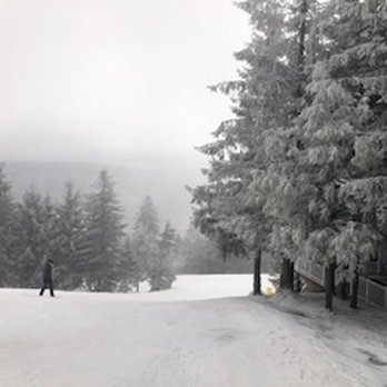 Snowshoe Mountain - Nice wide trails that are well groomed and really great to ski. - Ski Resorts Near Me - Snowshoe, West Virginia Snowshoe Mountain - Nice wide trails that are well groomed and really great to ski. - Ski Resorts Near Me - Snowshoe, West Virginia