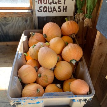 Pleasant Ridge Farm - Farmers Market Near Me - Mount Vernon, Washington Pleasant Ridge Farm - Farmers Market Near Me - Mount Vernon, Washington