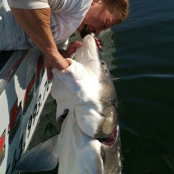 OutCatching - Sandy kissing the 8 ft 3 inch Monster Sturgeon she landed. - Fishing Near Me - The Dalles, Oregon OutCatching - Sandy kissing the 8 ft 3 inch Monster Sturgeon she landed. - Fishing Near Me - The Dalles, Oregon