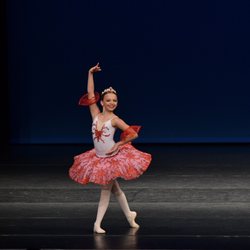 Momentum Dance Arts