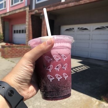 Andytown Roastery, Training Lab, & Coffee Supply - Huckleberry plover (so good!!) - Coffee & Tea Near Me - San Francisco, California Andytown Roastery, Training Lab, & Coffee Supply - Huckleberry plover (so good!!) - Coffee & Tea Near Me - San Francisco, California