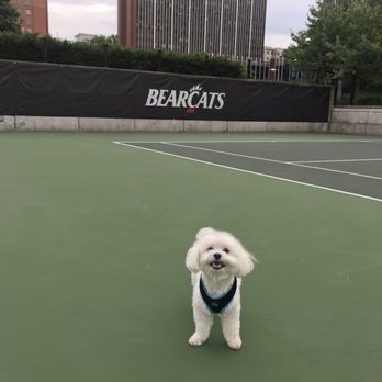 UC Tennis Center - Tennis Near Me - Cincinnati, Ohio UC Tennis Center - Tennis Near Me - Cincinnati, Ohio
